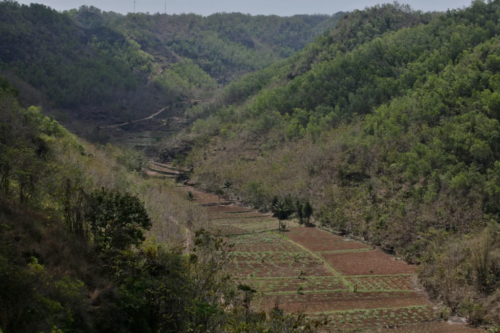 Bengawan Solo Hulu — Lahirnya Sungai Terpanjang Jawa di Wonogiri